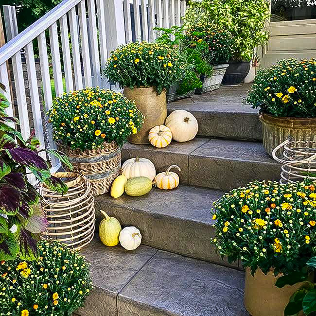 White and orange pumpkins, yellow and green squash, sitting on stone steps next to brown planters with yellow and green flowers