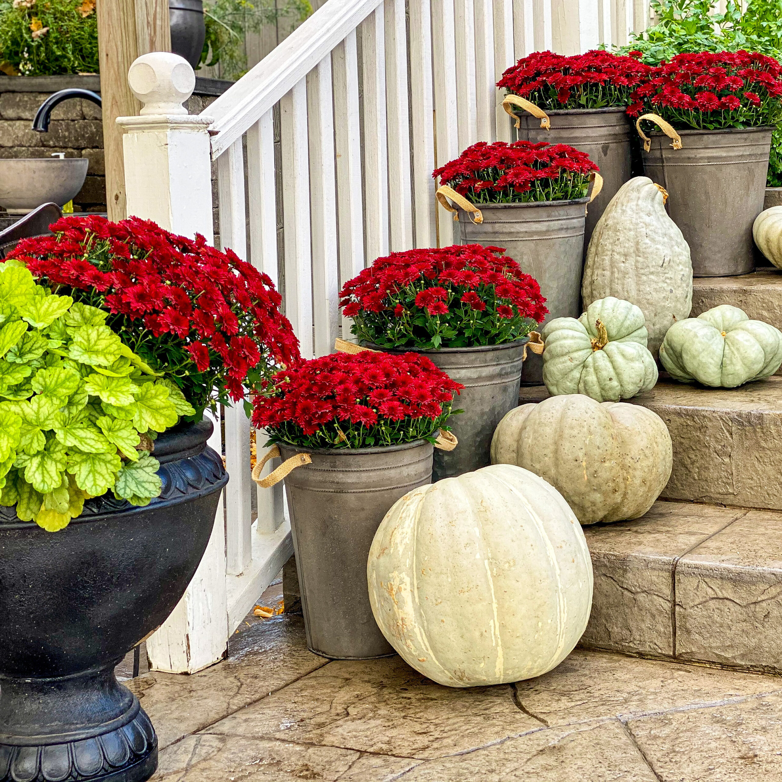 Red mums in tin planters with assorted pumpkins sitting on stone steps with white picket railing