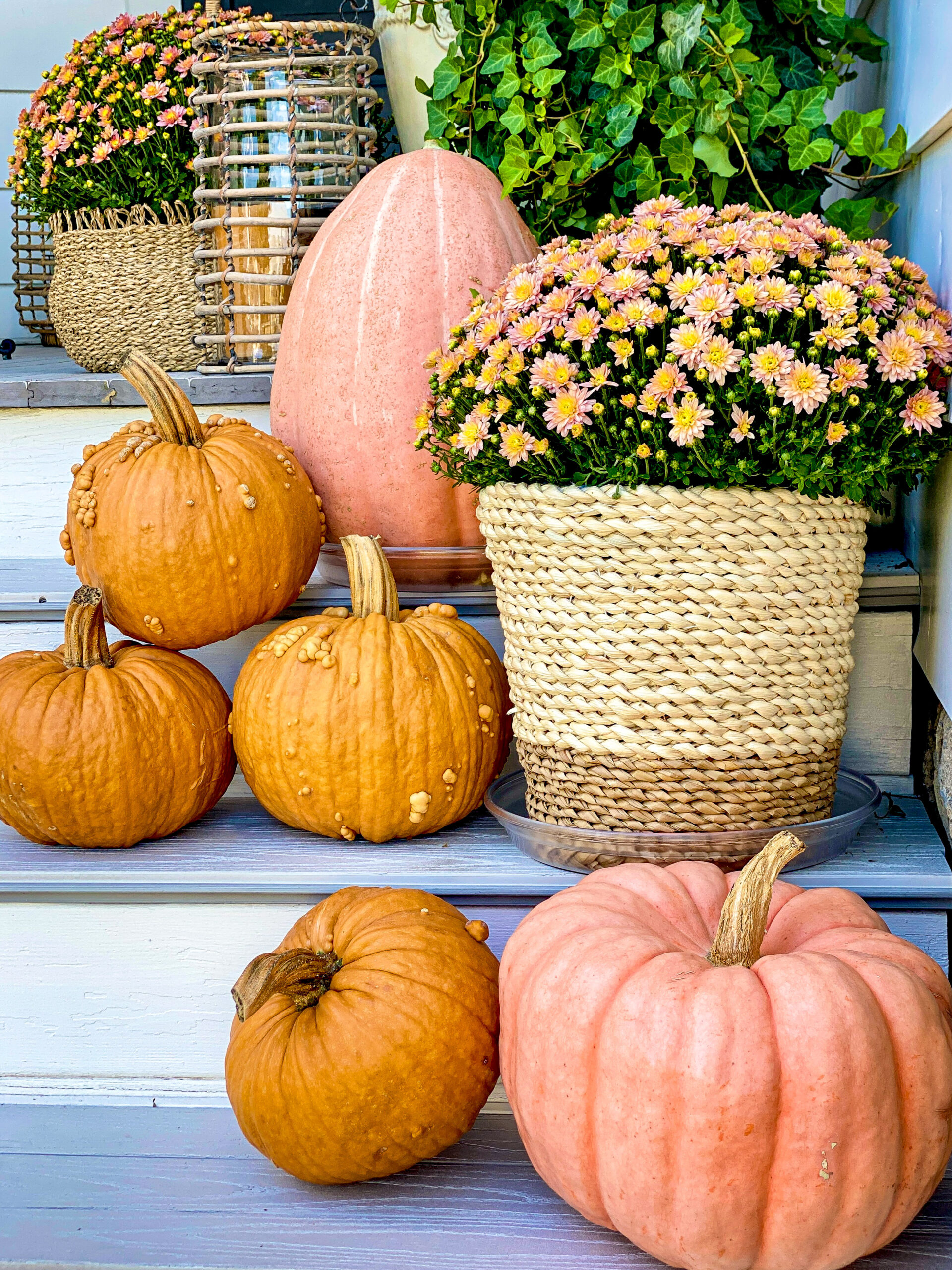 salmon and orange pumpkins sitting on light gray and white wood steps with with mums and leafy green plants in wicker pots