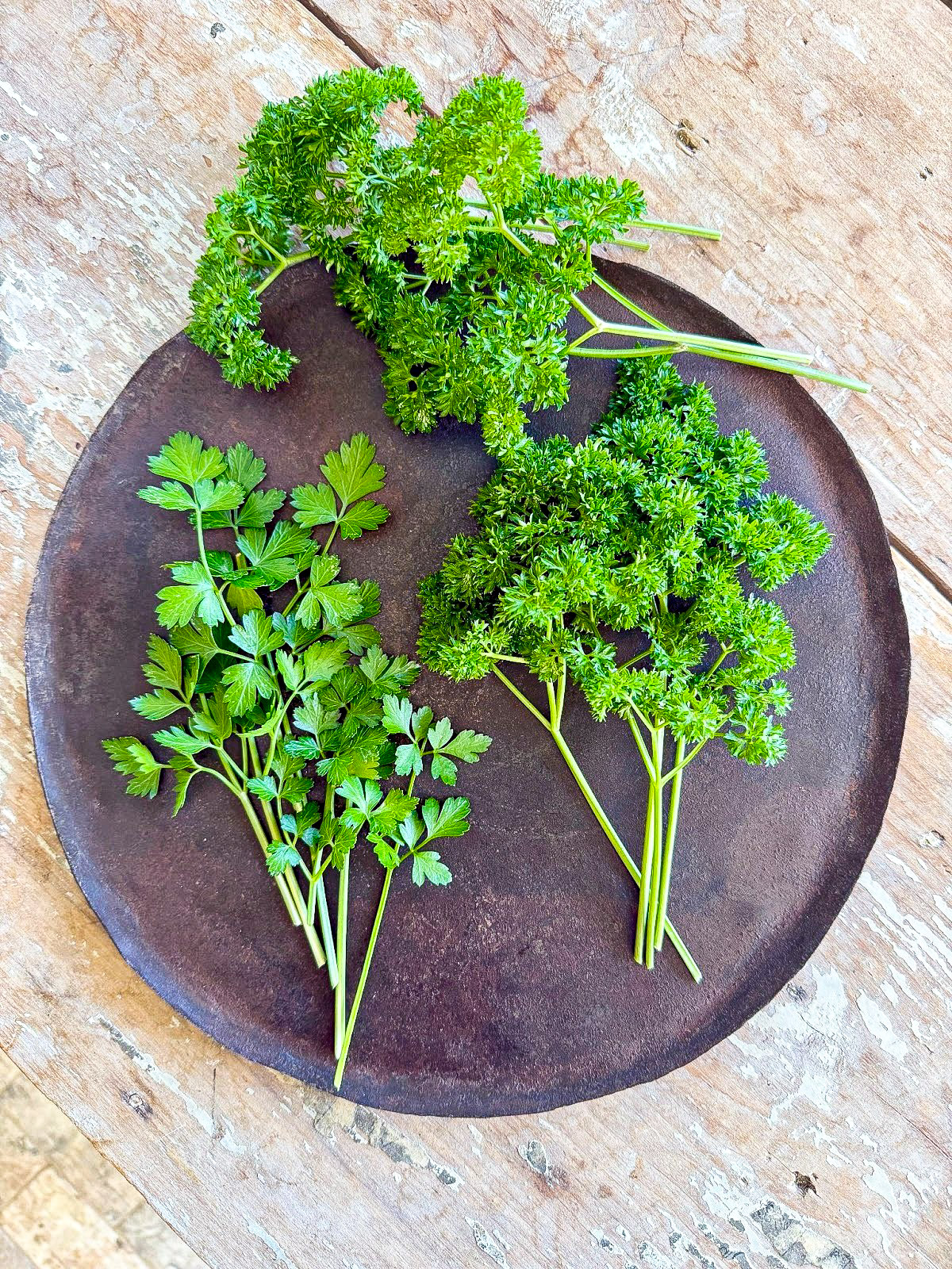 Which Parsley is Better? Flat Leaf o Curly