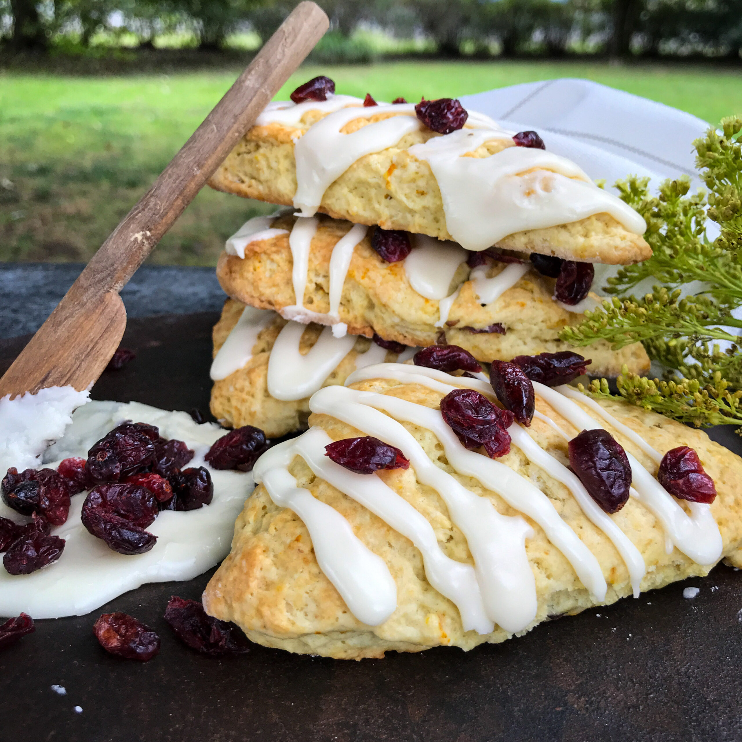 Glazed Orange Cranberry Scones with cranberries, sitting on black surface with wood knife, white towel, and greenery